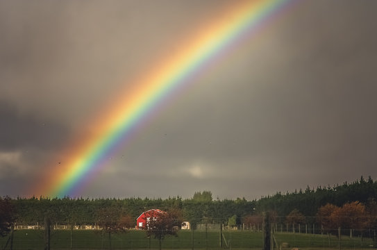 Full Rainbow Over The Farm In New Zealand