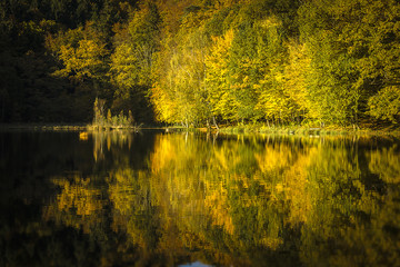 Fototapeta premium Herbst