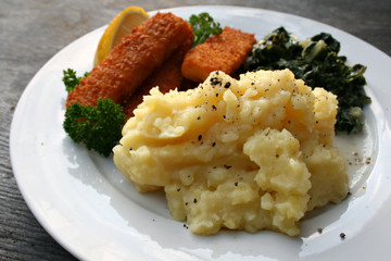 organisch, lifestyle, foodie, werbetafel, mangold, neu, urbano, kinderfoodie, kita