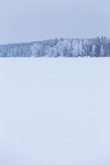 Minimalistic winter lake landscape cloudy day background