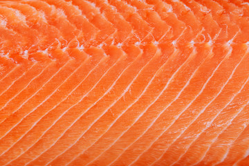 fresh salmon fillet background