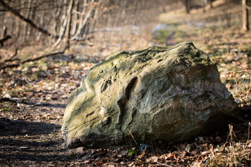 Erratic stones in the forest. The environment, stones lying in the grass.