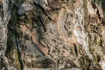 Art, abstract and artistic background pattern macro lens magnification view