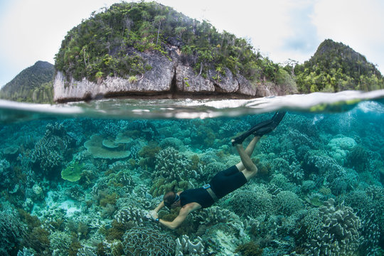 A Snorkeler Explores a Shallow Reef in Raja Ampat