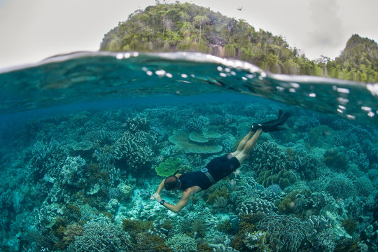 Snorkeler and Shallow Reef in Raja Ampat