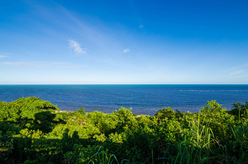 Fototapeta na wymiar Ocean view in Bahia, Brazil