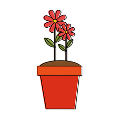 beautiful flower cultivated in pot vector illustration design