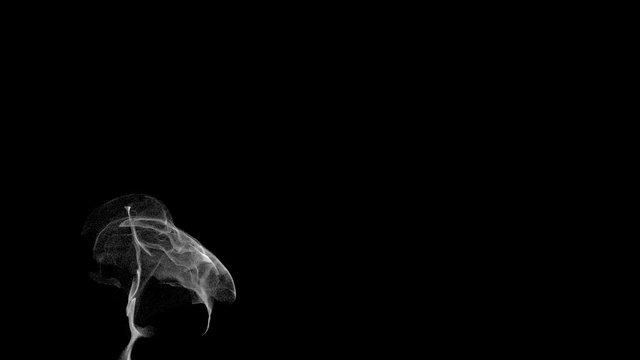 Smoke particle animation