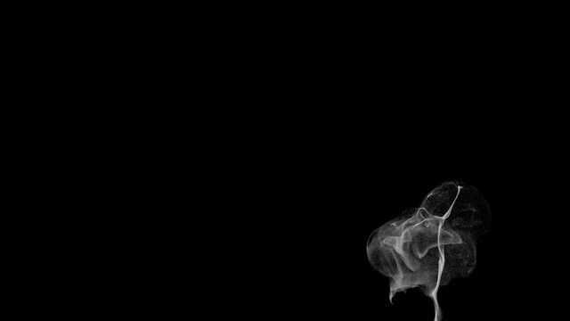 Smoke particle animation