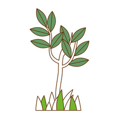 tree plant isolated icon vector illustration design
