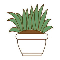 bush cultivated in pot vector illustration design