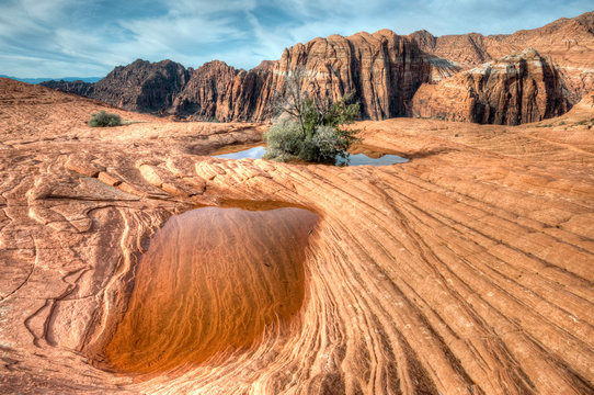 Snow Canyon After Rains