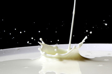 Milk splash as background