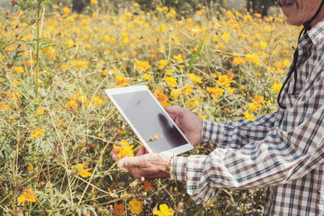 Male Asian farmer using digital tablet in flower farm, agriculture technology concept