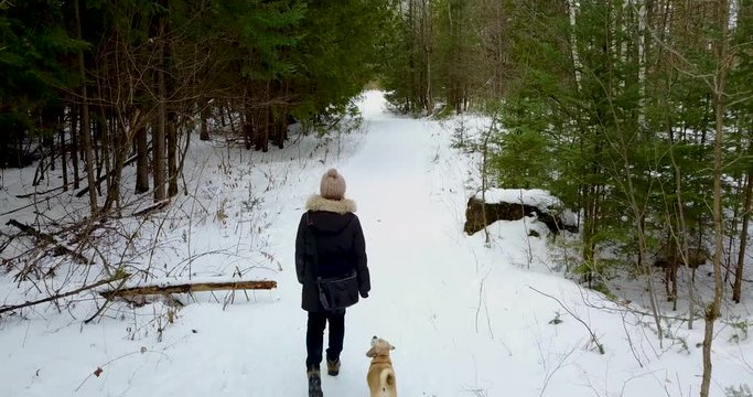 Tilt up drone shot of a young woman walking her dog in a snowy forest.  4K.