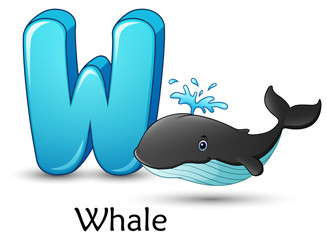 Obraz premium Letter W is for Whale cartoon alphabet