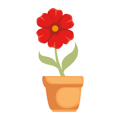 beautiful flower in pot vector illustration design