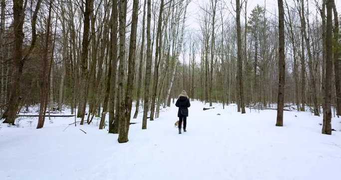 Following drone shot of a young woman walking with her dog in a snowy forest.  4K.