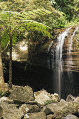 Serenity Falls in Buderim, Sunshine Coast, Australia. Located in the Buderim Forest waterfall walk.