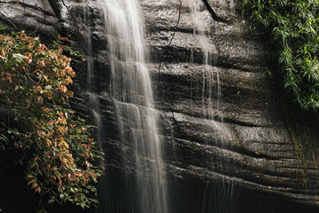 Serenity Falls in Buderim, Sunshine Coast, Australia. Located in the Buderim Forest waterfall walk.