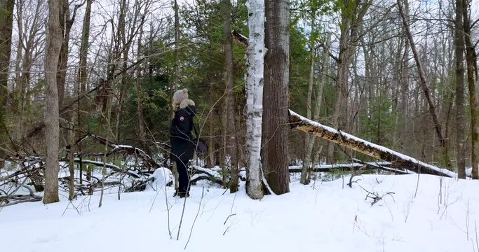 Drone shot of a young woman walking with her dog in a snowy forest.  4K.