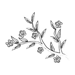 beautiful flower with branch vector illustration design
