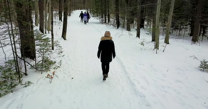 Tilt up drone shot of a young woman walking in a snowy forest, group of three people in front of her.  4K.