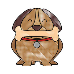cute dog with bone vector illustration design