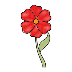 beautiful flower isolated icon vector illustration design
