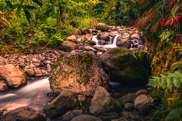 Flowery Waterfall 