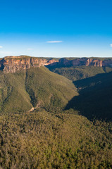 Nature landscape of mountains covered with eucalyptus forest
