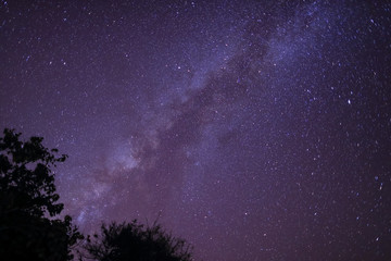 Fototapeta na wymiar The Panorama Milky way galaxy with stars and space dust in the universe, Long exposure photograph, with grain.fore ground tropical forest , thailand