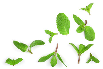 fresh green mint leaves isolated on white background with copy space for your text, top view. Flat lay