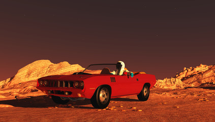 The car on Mars