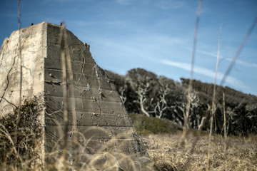 Fort Fisher Ruins