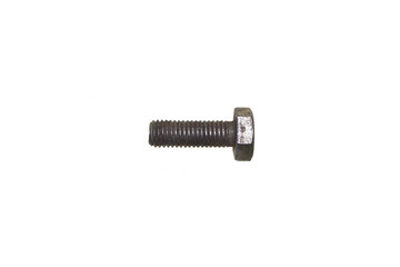 wood screw isolated on white background