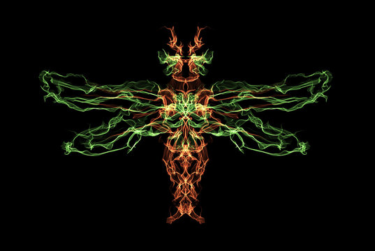 Fiery Dragonfly