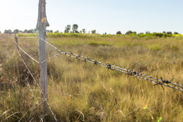 A barbed wire fence with wooden post