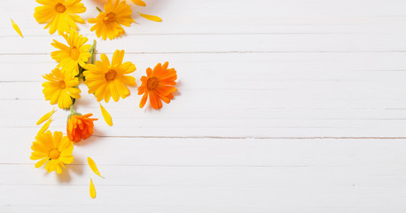 Calendula (Marigold) herbal tea  on white wooden table