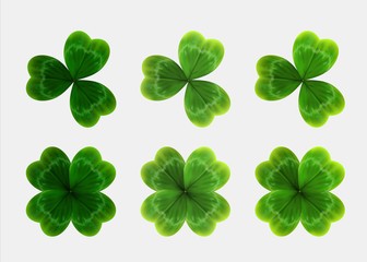 Set of green leaves of clover. realistic vector