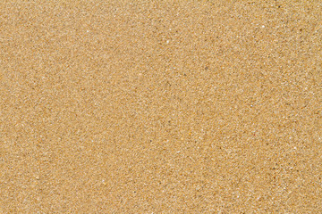 Sandy Beach in Summer