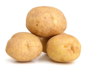 Ripe potatoes isolated on white background