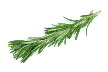 Fresh green rosemary isolated on a white background. Top view. Flat lay