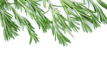 Fresh green rosemary isolated on a white background with copy space for your text. Top view. Flat lay