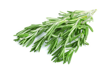 Fresh green rosemary isolated on a white background
