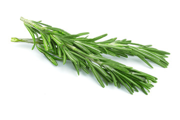 Fresh green rosemary isolated on a white background