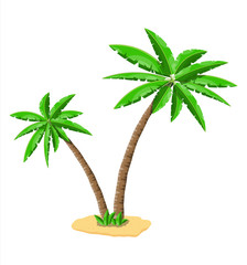 Obraz premium Tropical green palm. Jungle leaves