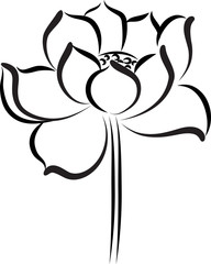 lotus