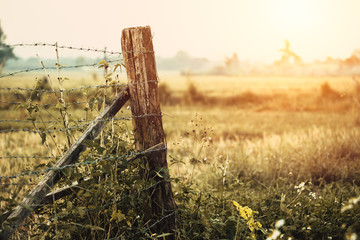 Fototapeta premium Restrict Area Dry arid grass countryside hot summer season farm fence