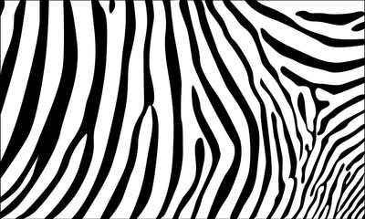 Realistic abstract zebra skin pattern vector illustration